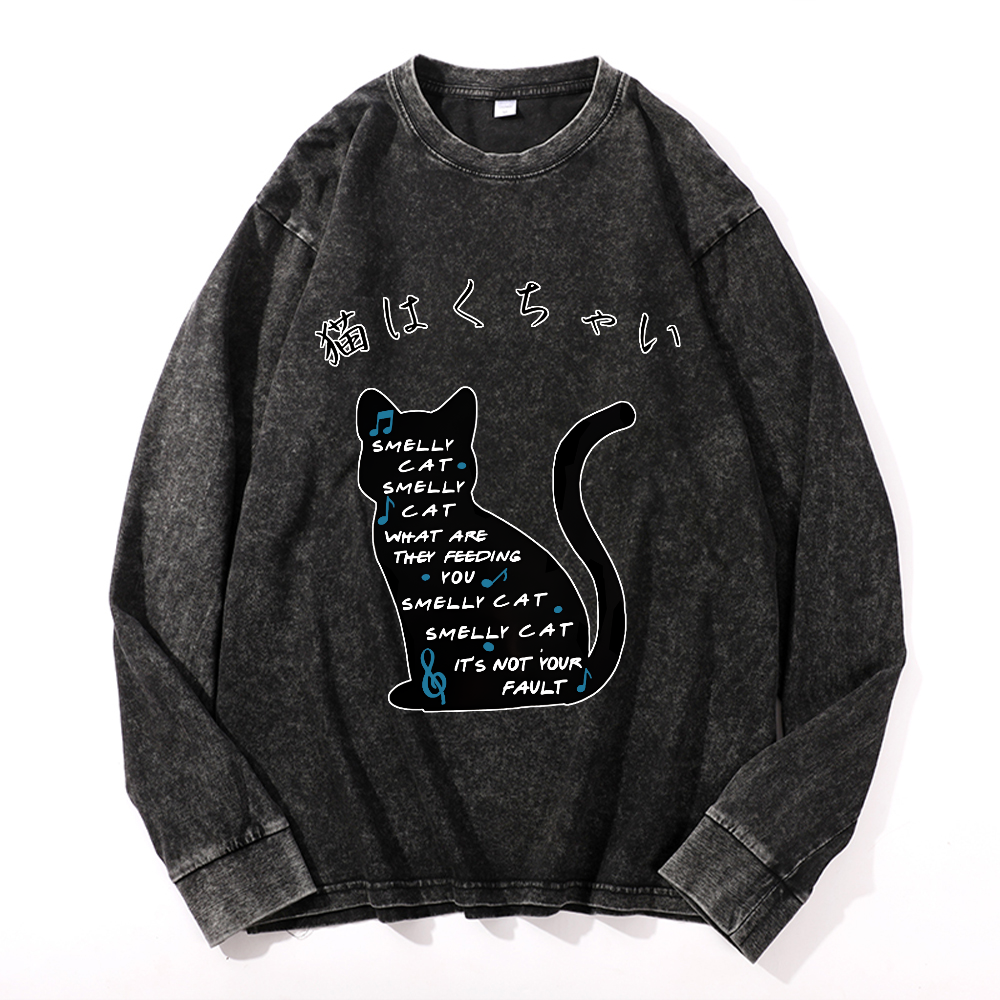 Vintage Cotton Wash Crewneck Long-Sleeve T-Shirt