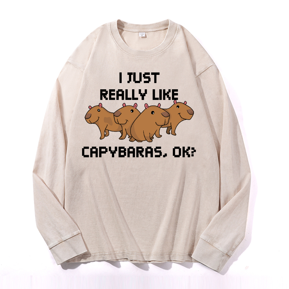 Capybara Vintage Cotton Wash Crewneck Long-Sleeve T-Shirt
