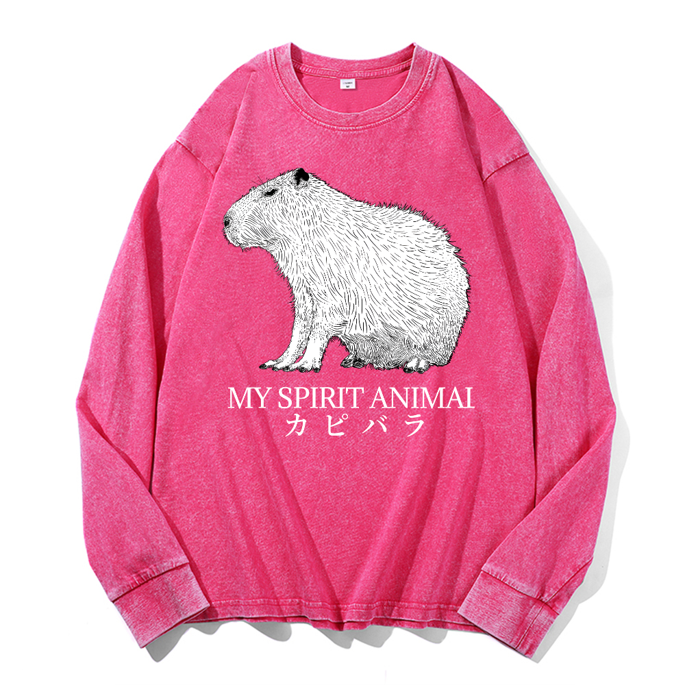 Capybara Vintage Cotton Wash Long-sleeve T-shirt