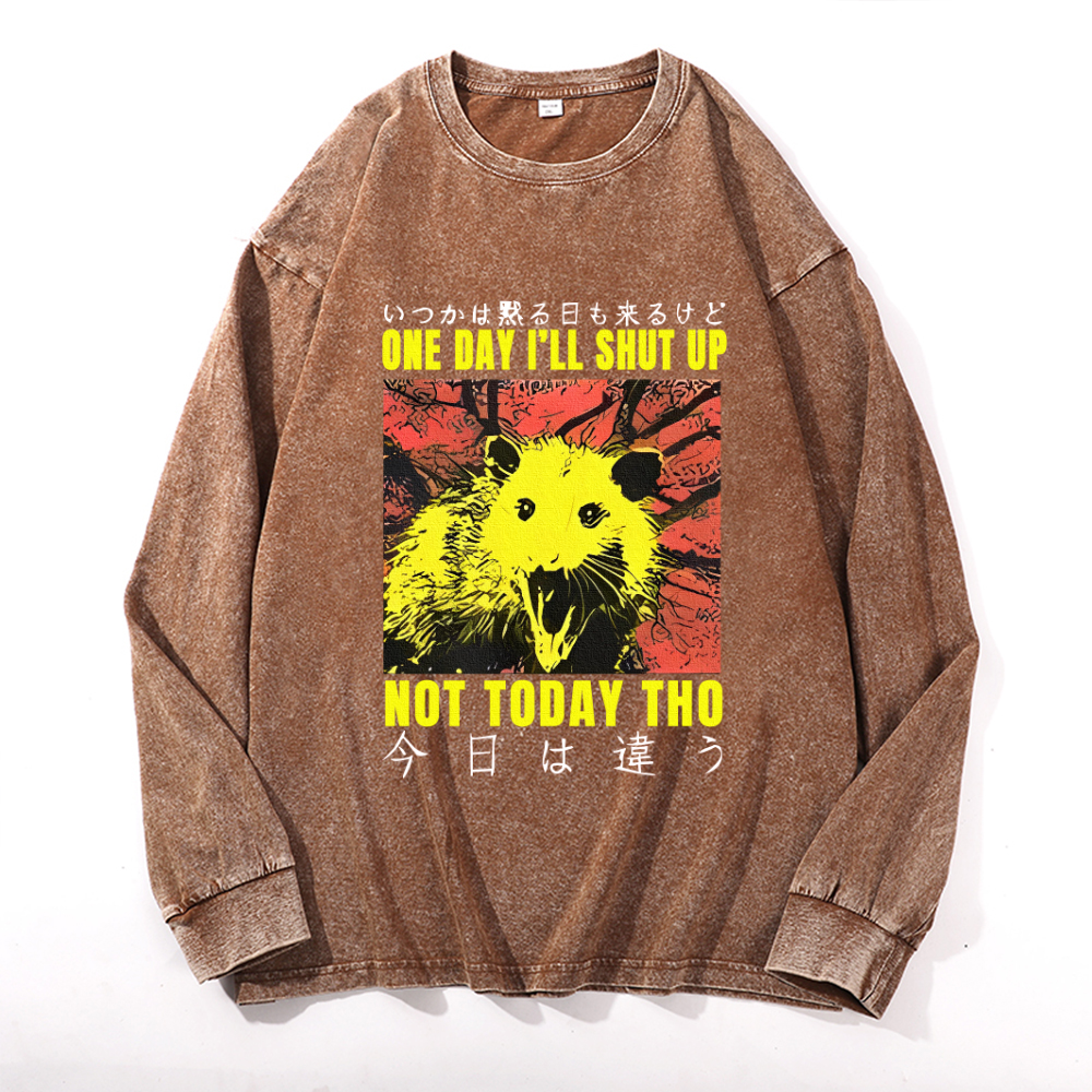 Vintage Cotton Wash Crewneck Long-Sleeve T-Shirt