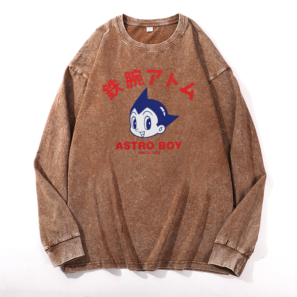 Vintage Cotton Wash Crewneck Long-Sleeve T-Shirt