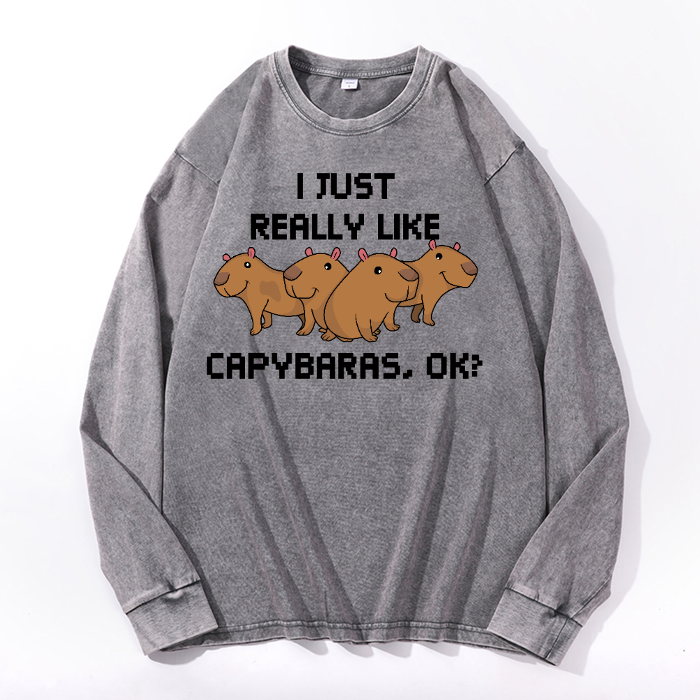 Capybara Vintage Cotton Wash Crewneck Long-Sleeve T-Shirt