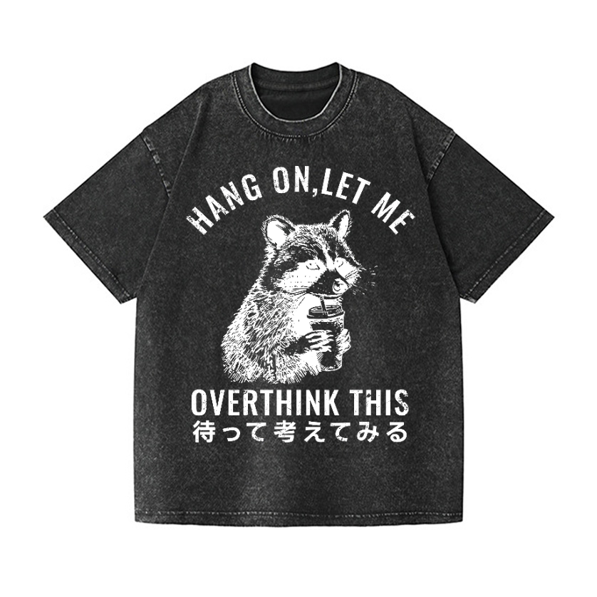 Racoon Vintage Wash Japanese Design T-Shirt