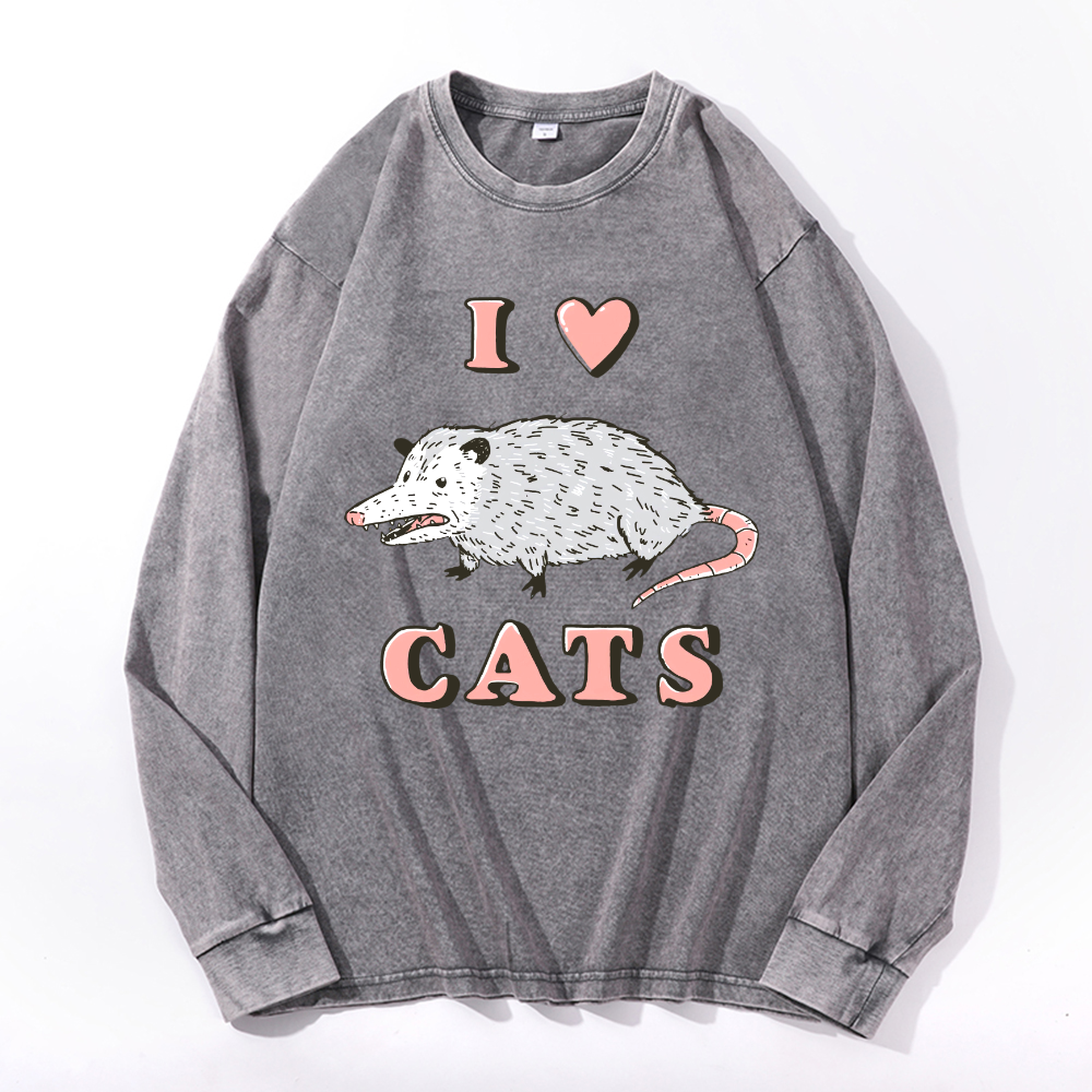 Vintage Cotton Wash Crewneck Long-Sleeve T-Shirt