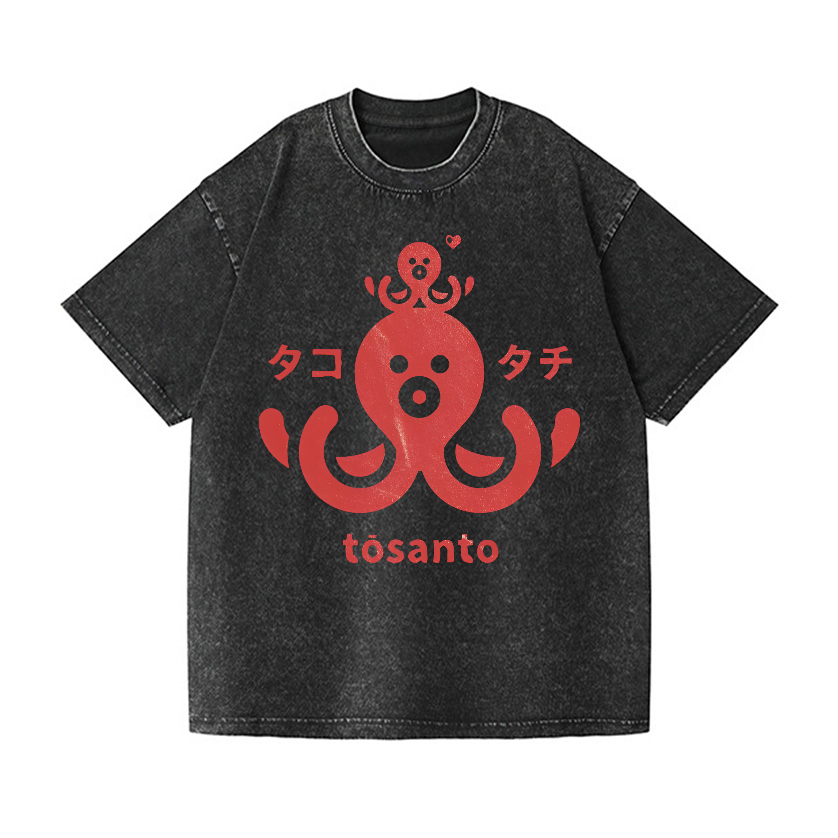 Tosanto Vintage Wash Japanese Design T-Shirt