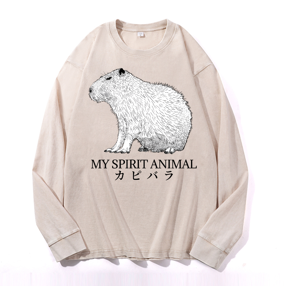 Capybara Vintage Cotton Wash Long-sleeve T-shirt