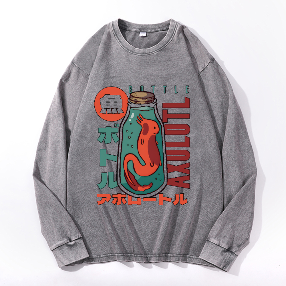 Vintage Cotton Wash Crewneck Long-Sleeve T-Shirt