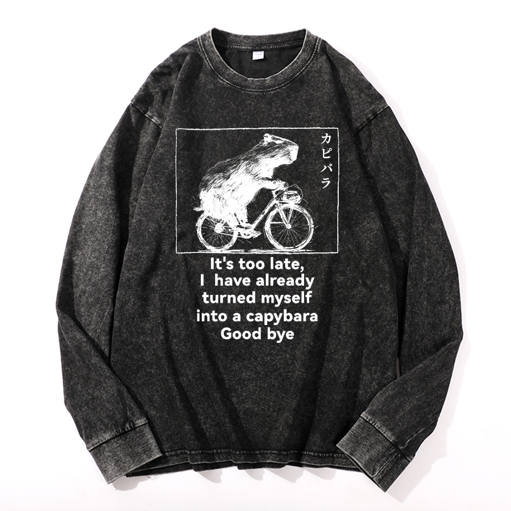 Capybara Vintage Cotton Wash Long-sleeve T-shirt