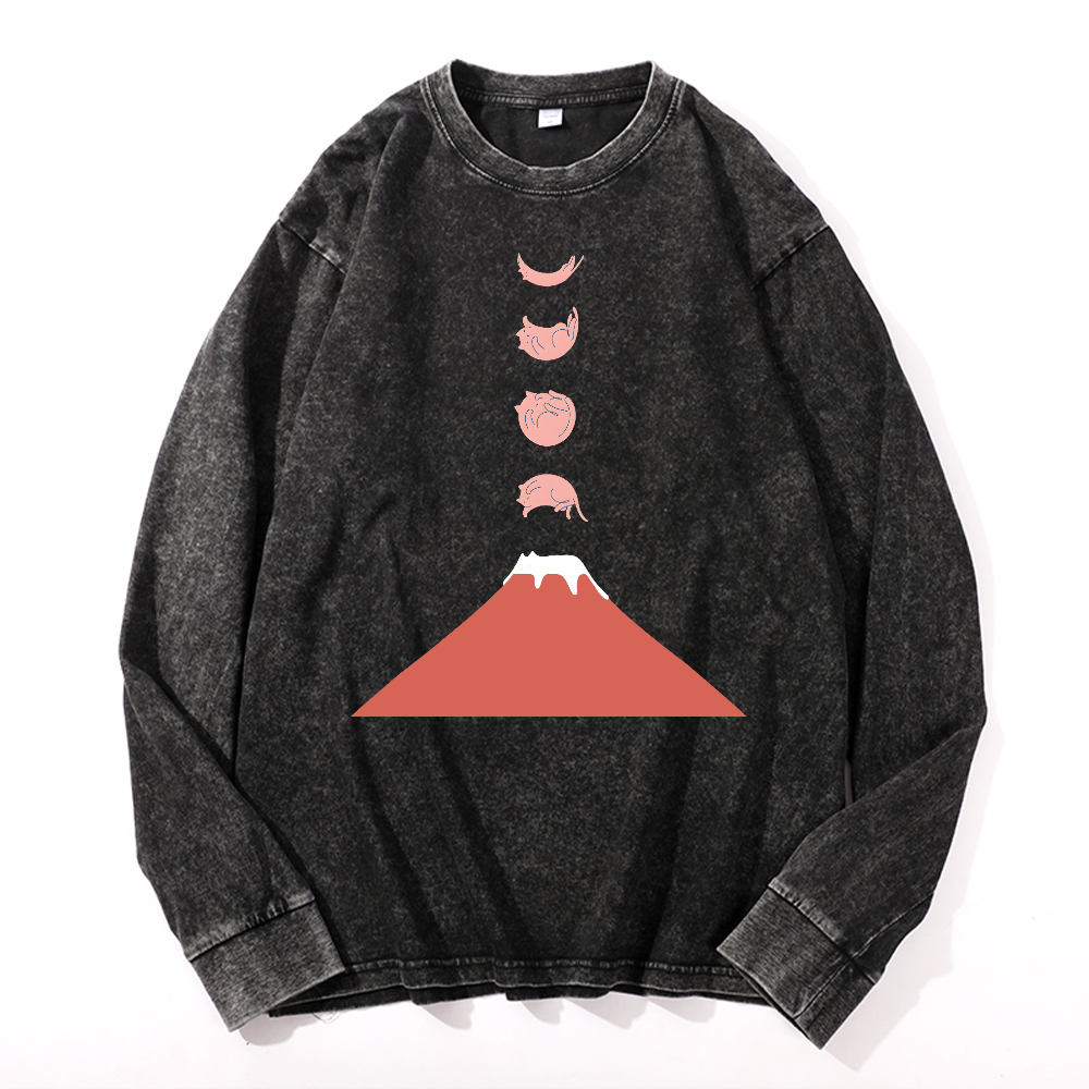 Fuji Cat Vintage Cotton Wash Crewneck Long-Sleeve T-Shirt