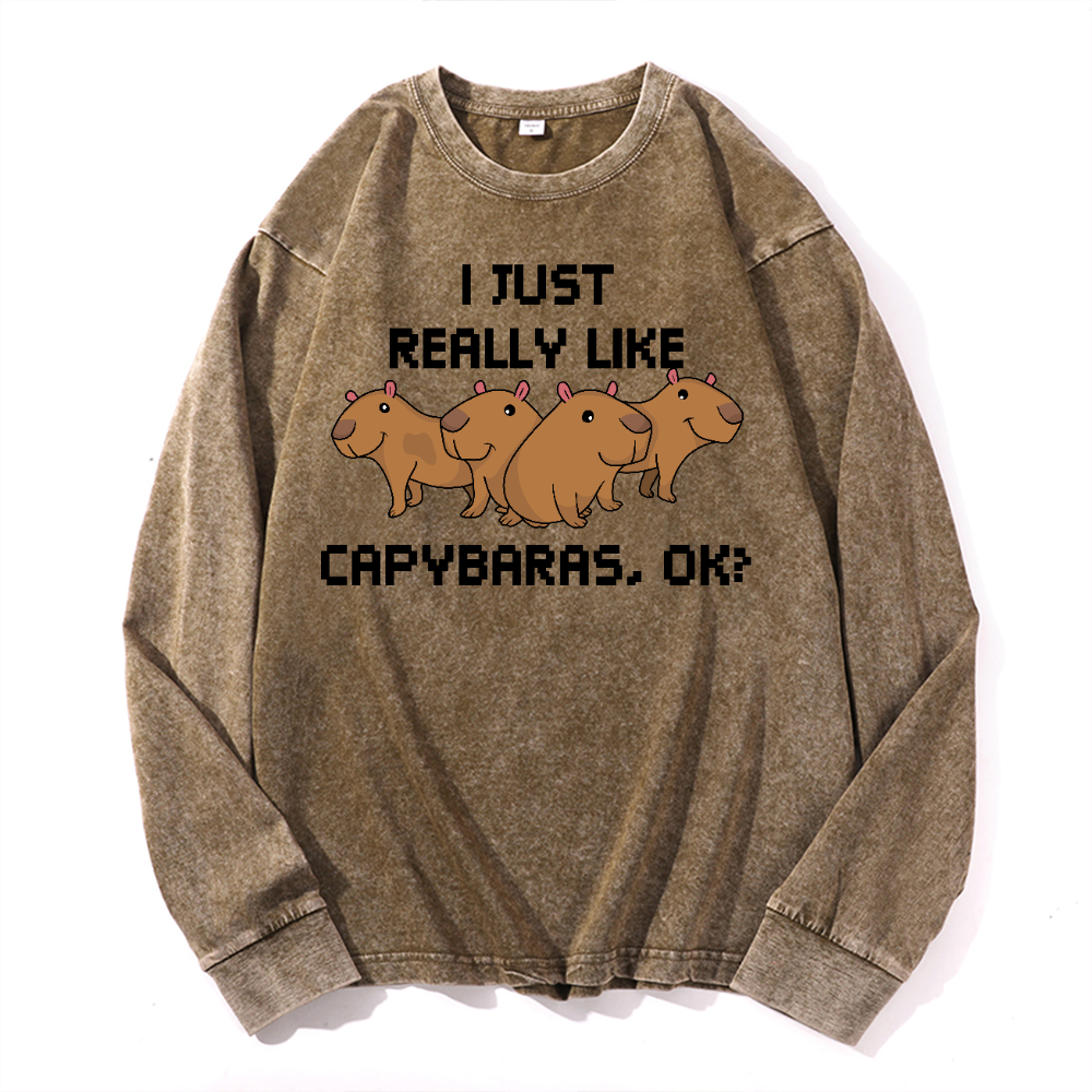 Capybara Vintage Cotton Wash Crewneck Long-Sleeve T-Shirt