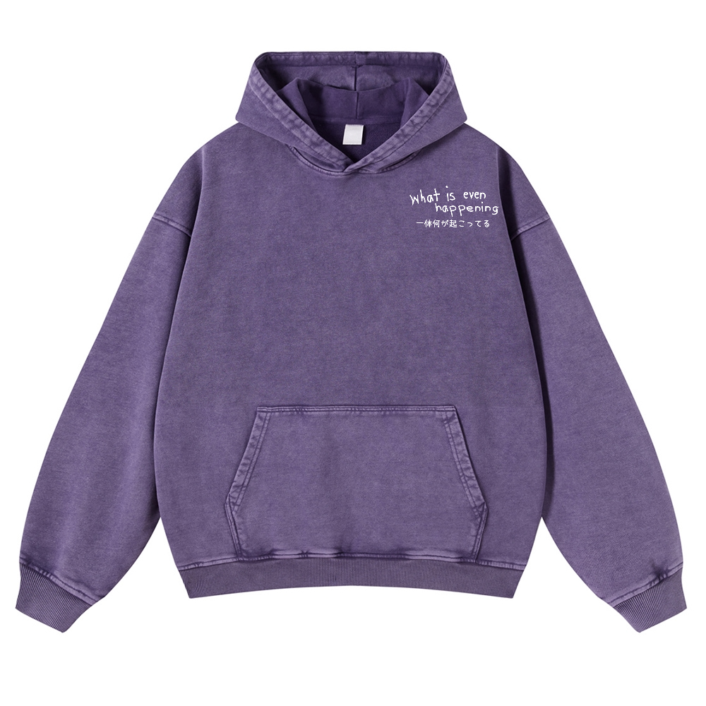 What Is Even Happening Vintage Washed Cotton Back Art Hoodie