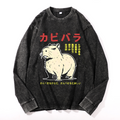 Vintage Cotton Wash Crewneck Long-Sleeve T-Shirt