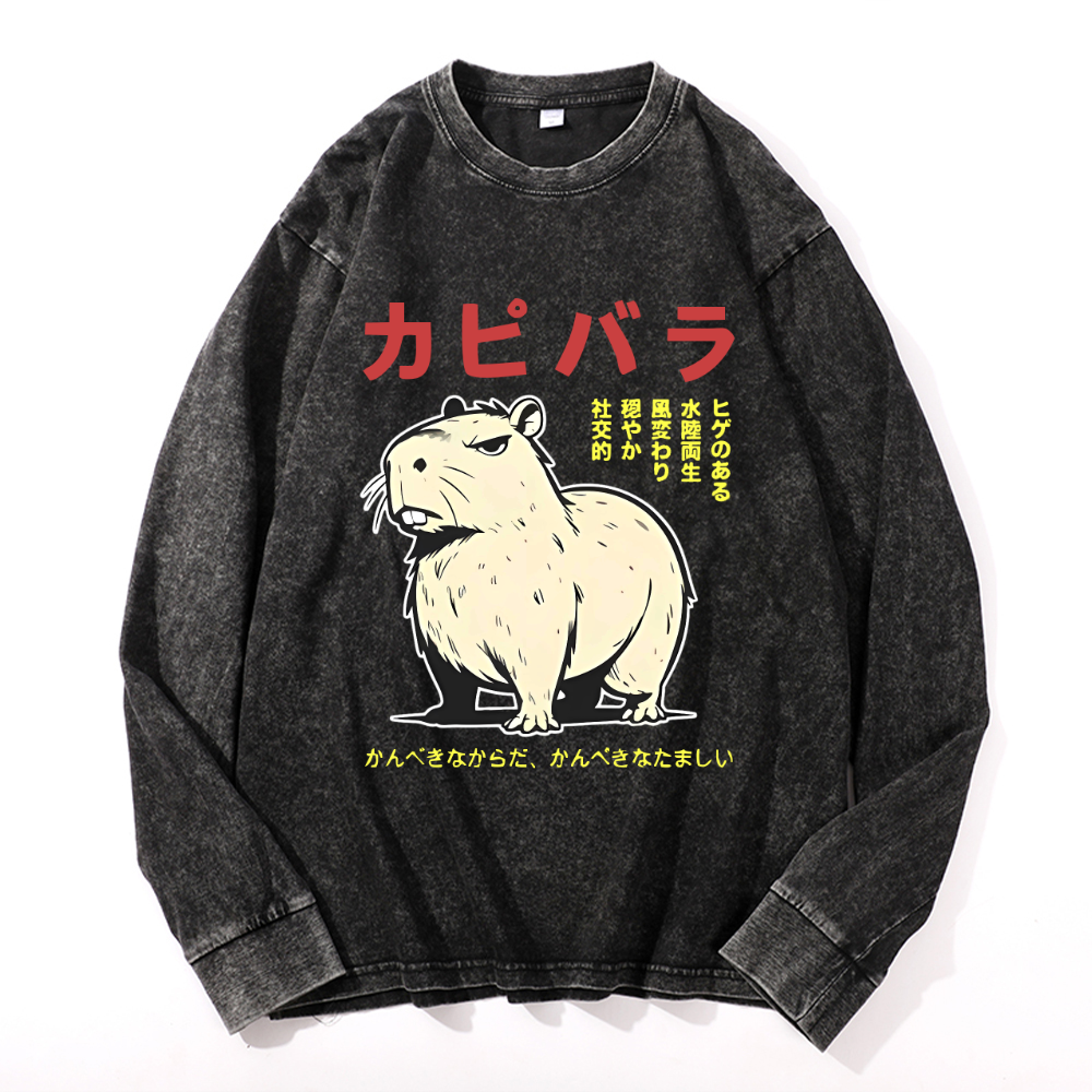 Vintage Cotton Wash Crewneck Long-Sleeve T-Shirt