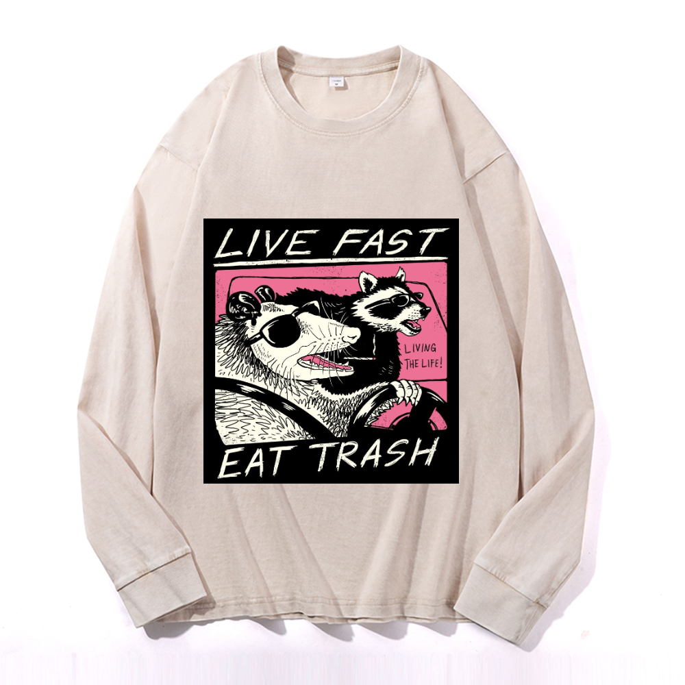 Vintage Cotton Wash Crewneck Long-Sleeve T-Shirt