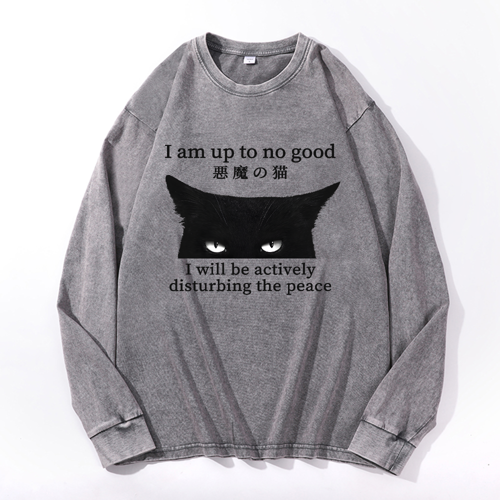 Black Devil Cat Vintage Cotton Wash Long-sleeve T-shirt