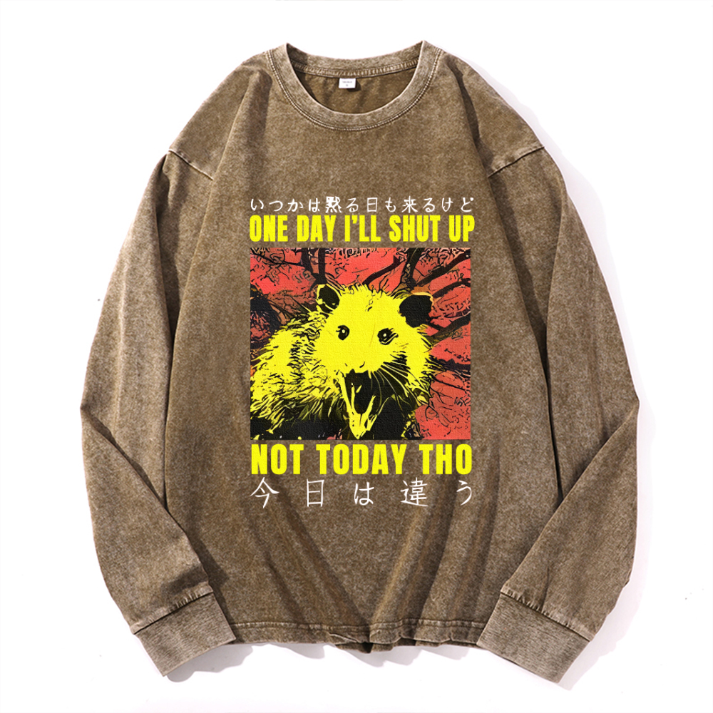 Vintage Cotton Wash Crewneck Long-Sleeve T-Shirt
