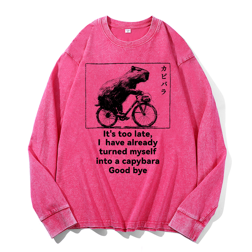 Capybara Vintage Cotton Wash Long-sleeve T-shirt