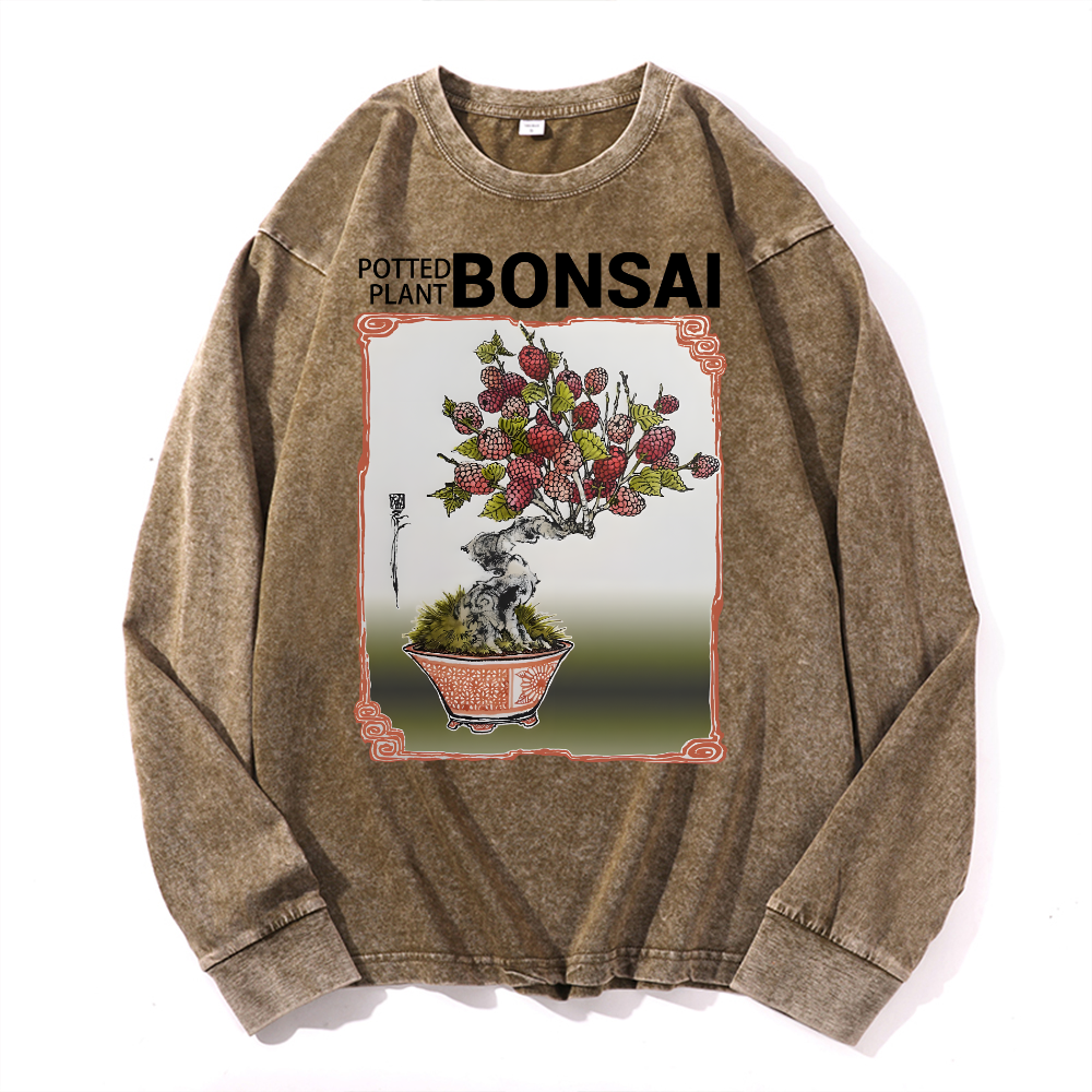 Bonsai Vintage Cotton Wash Crewneck Long-Sleeve T-Shirt