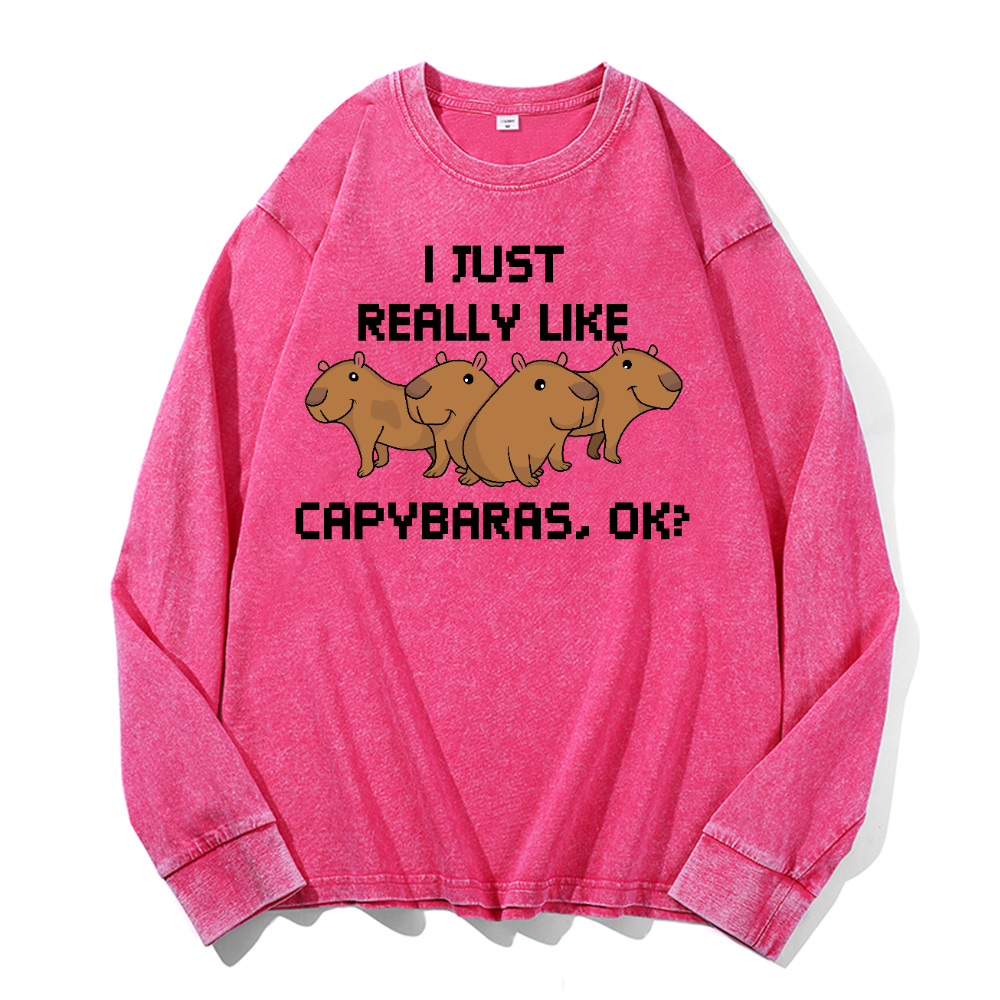 Capybara Vintage Cotton Wash Crewneck Long-Sleeve T-Shirt