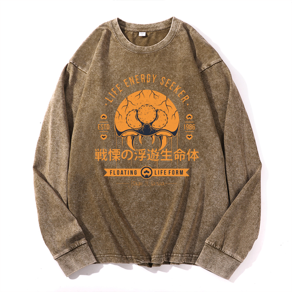 Vintage Cotton Wash Crewneck Long-Sleeve T-Shirt