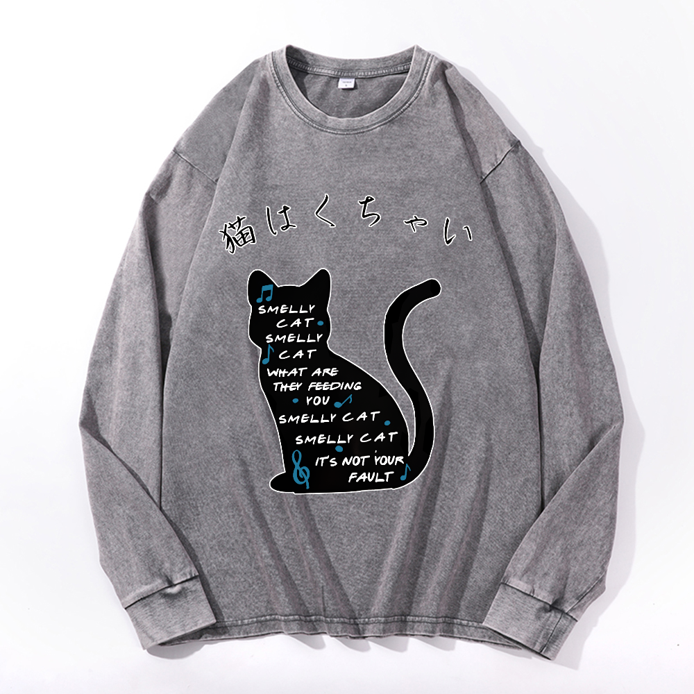 Vintage Cotton Wash Crewneck Long-Sleeve T-Shirt