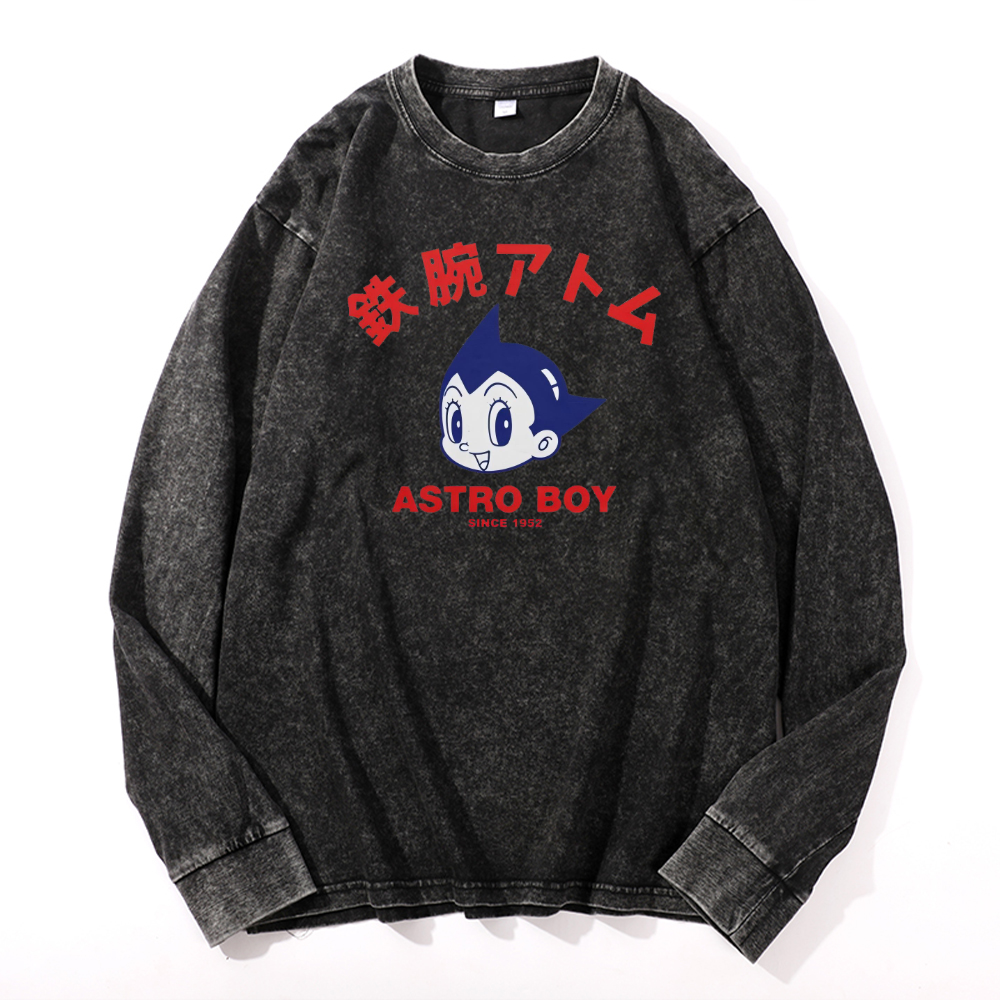 Vintage Cotton Wash Crewneck Long-Sleeve T-Shirt