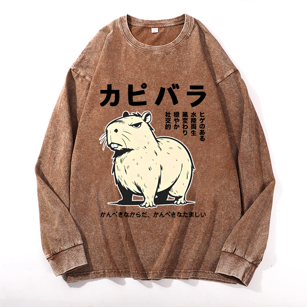 Vintage Cotton Wash Crewneck Long-Sleeve T-Shirt