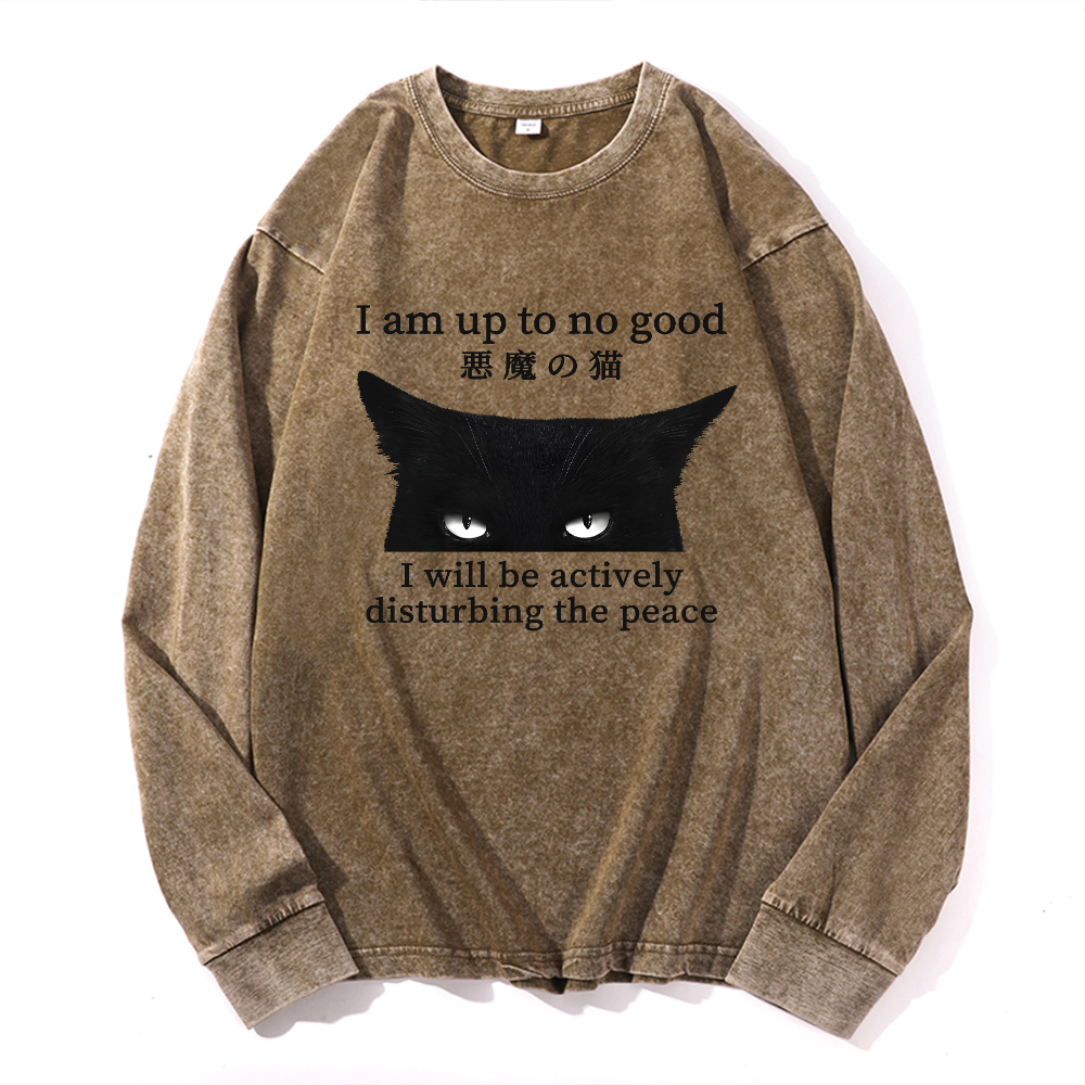 Black Devil Cat Vintage Cotton Wash Long-sleeve T-shirt