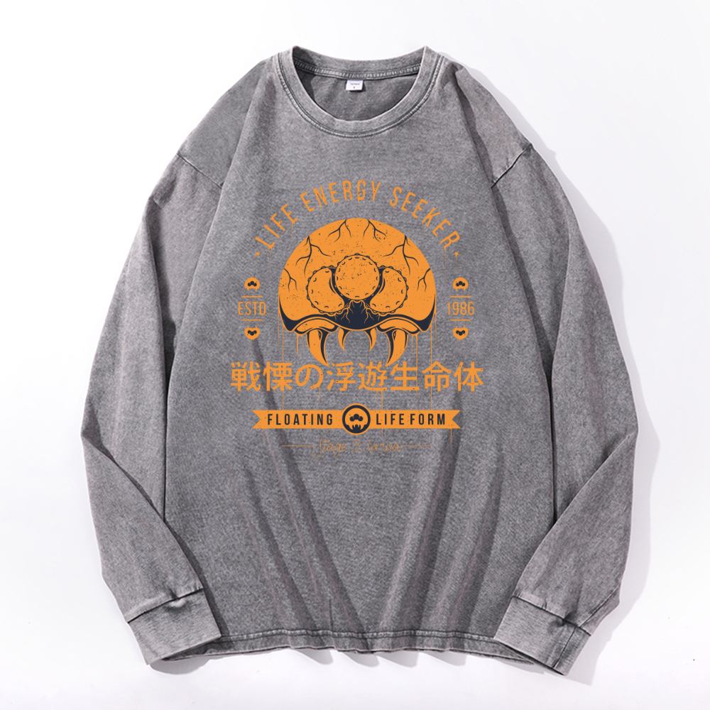 Vintage Cotton Wash Crewneck Long-Sleeve T-Shirt