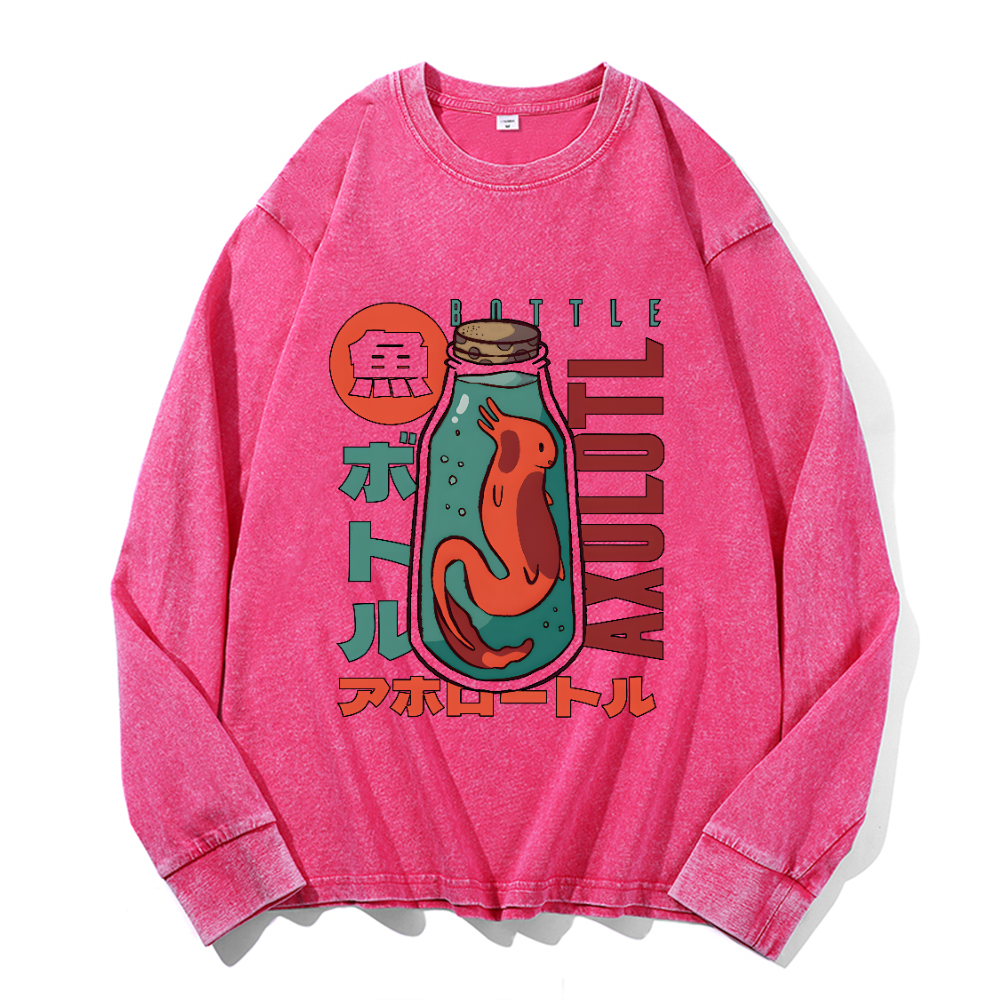 Vintage Cotton Wash Crewneck Long-Sleeve T-Shirt