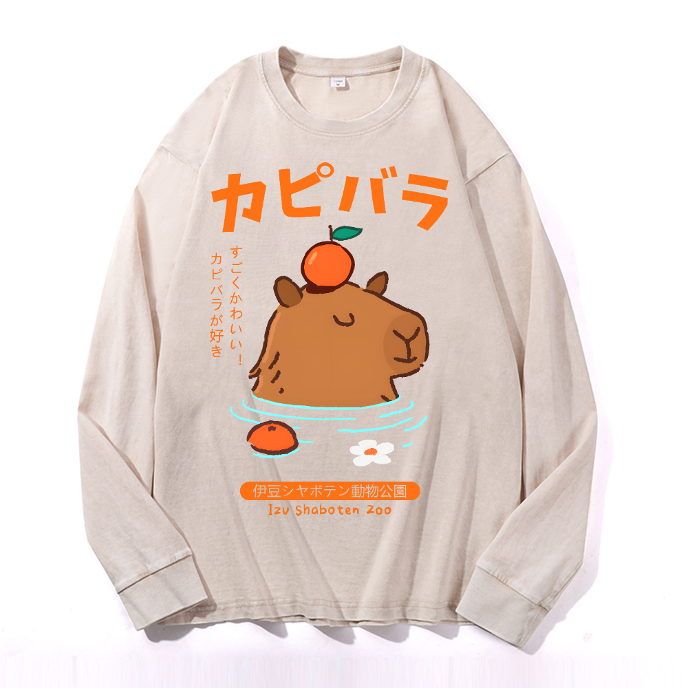 Capybara Vintage Cotton Wash Crewneck Long-Sleeve T-Shirt