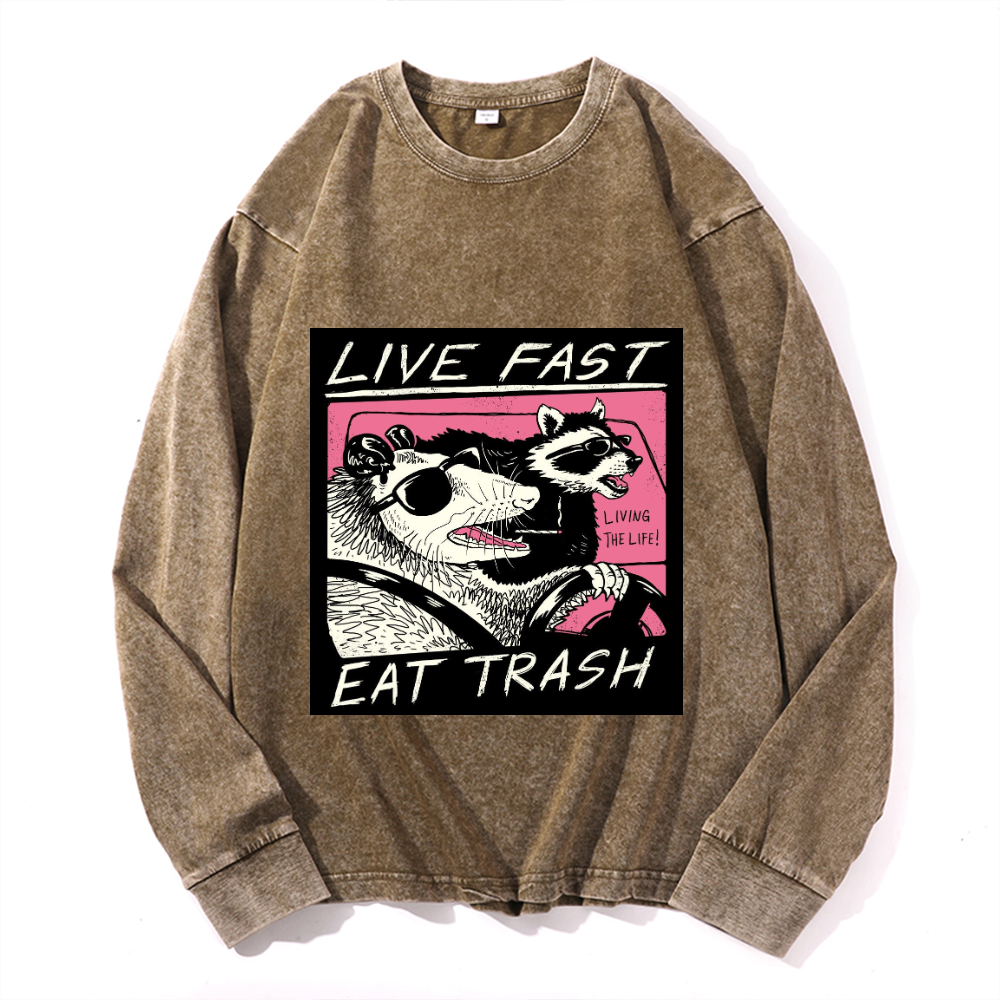 Vintage Cotton Wash Crewneck Long-Sleeve T-Shirt