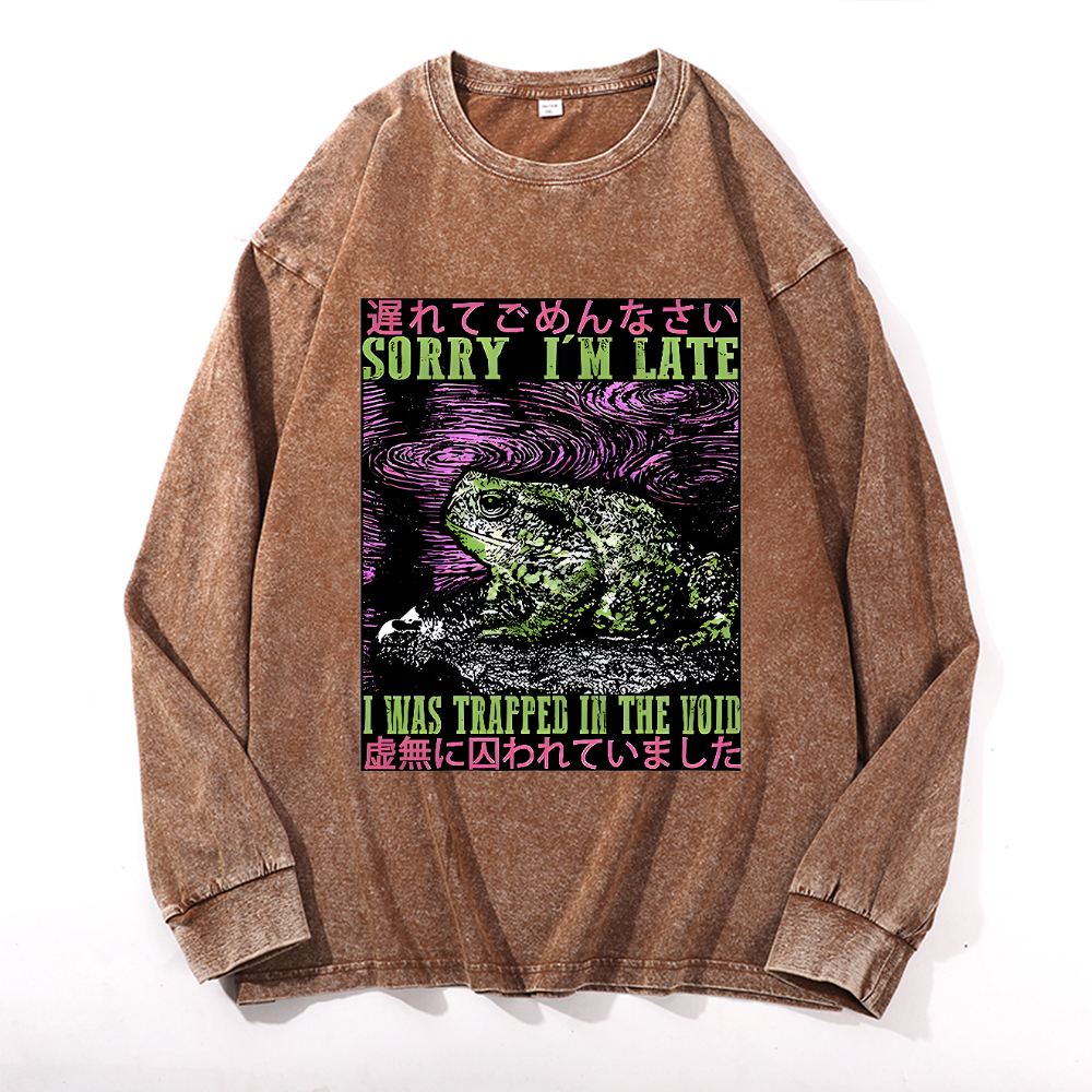 Vintage Cotton Wash Crewneck Long-Sleeve T-Shirt