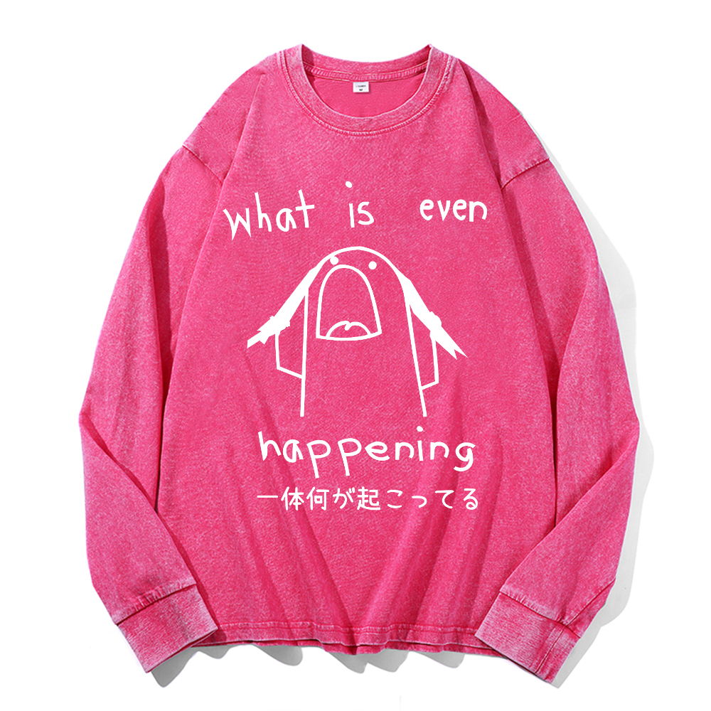 What Is Even Happening Vintage Cotton Wash Long-sleeve T-shirt
