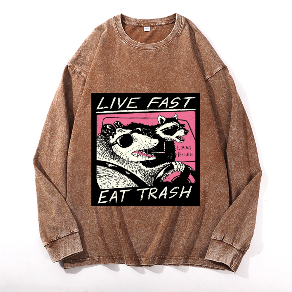 Vintage Cotton Wash Crewneck Long-Sleeve T-Shirt
