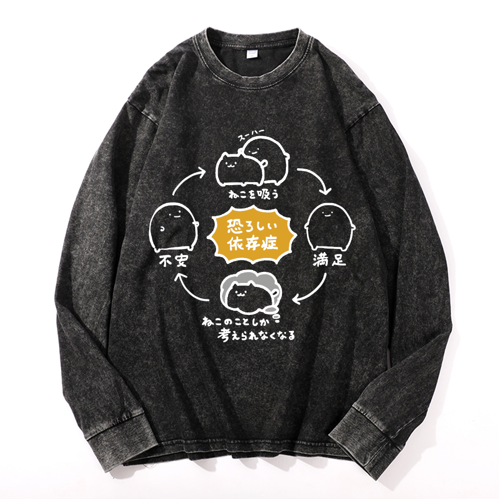Vintage Cotton Wash Crewneck Long-Sleeve T-Shirt
