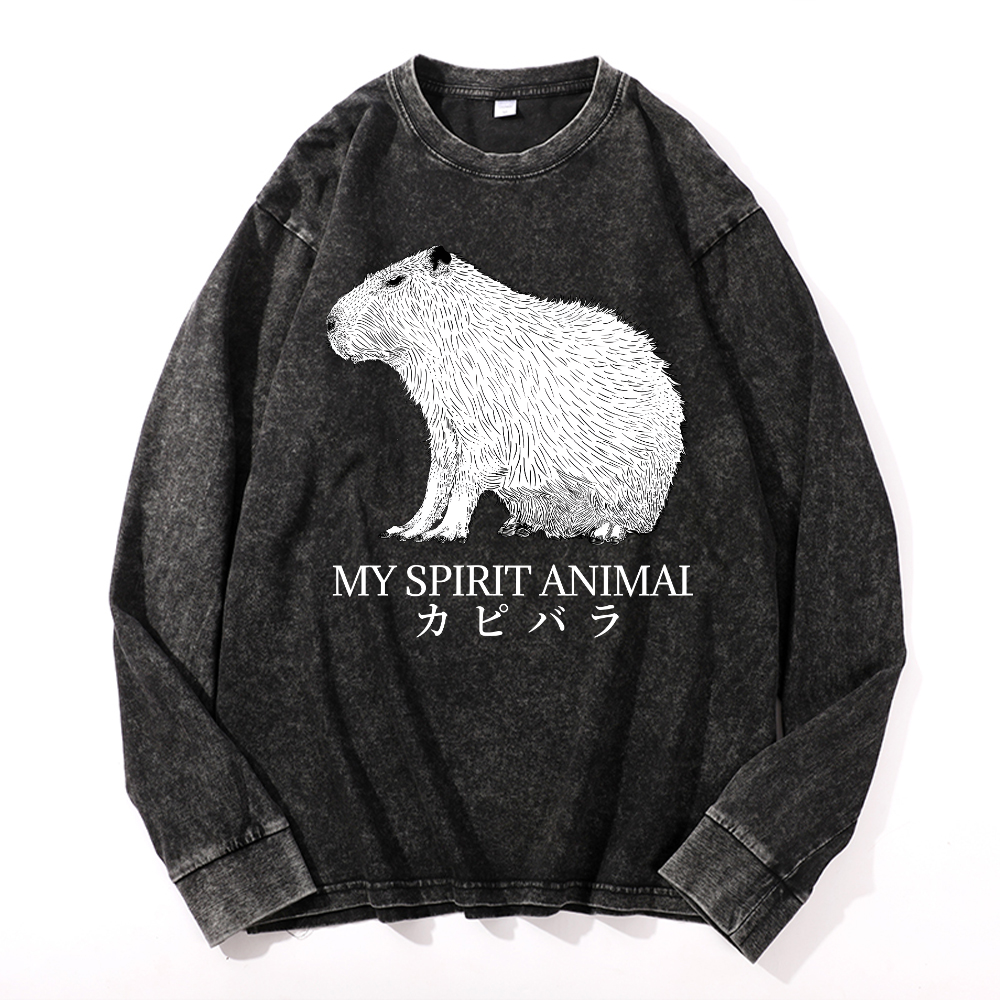 Capybara Vintage Cotton Wash Long-sleeve T-shirt