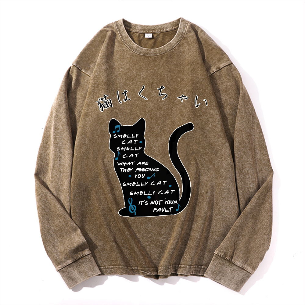 Vintage Cotton Wash Crewneck Long-Sleeve T-Shirt