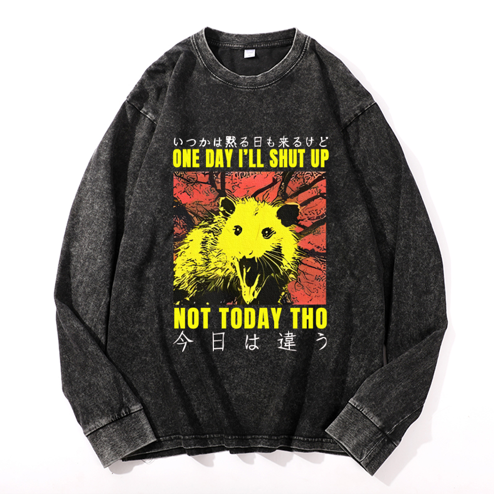 Vintage Cotton Wash Crewneck Long-Sleeve T-Shirt