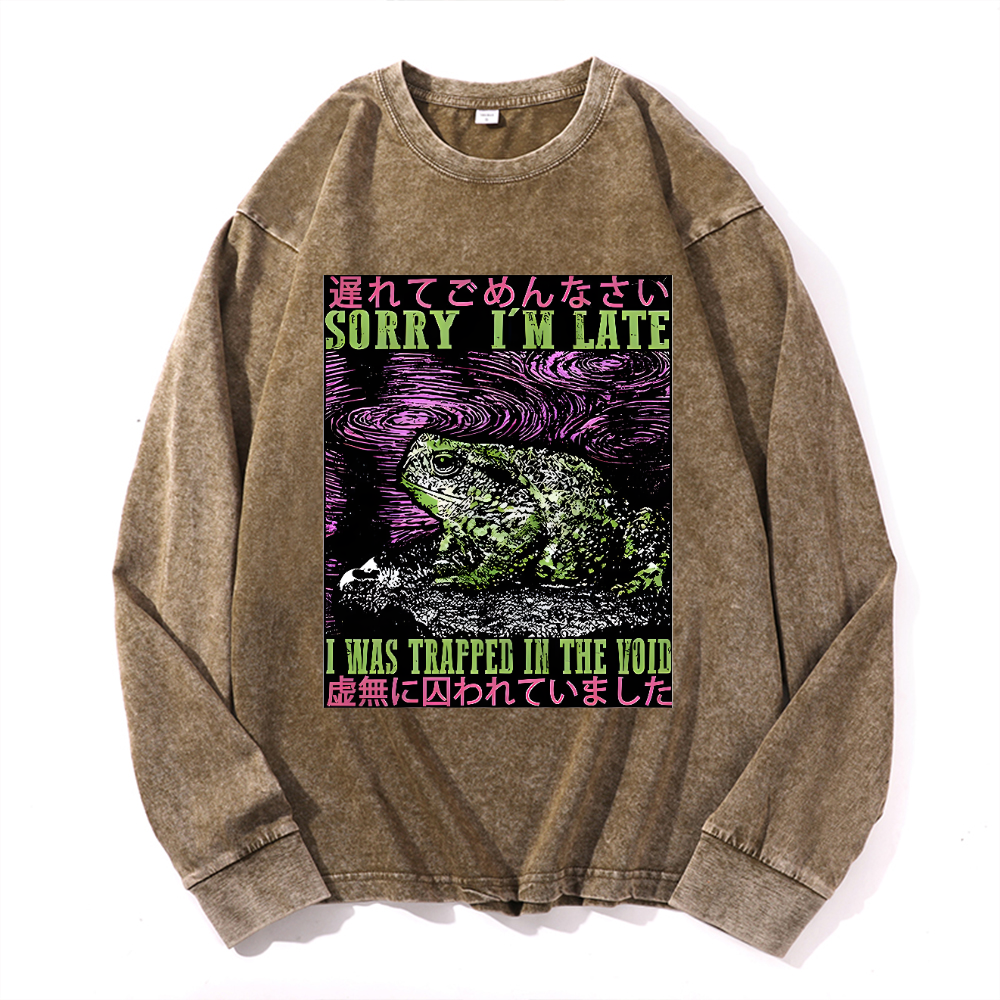Vintage Cotton Wash Crewneck Long-Sleeve T-Shirt