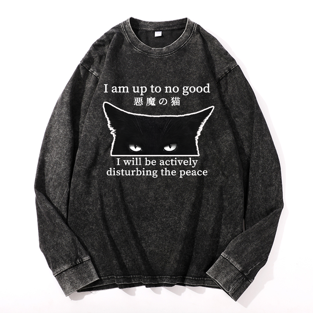 Black Devil Cat Vintage Cotton Wash Long-sleeve T-shirt