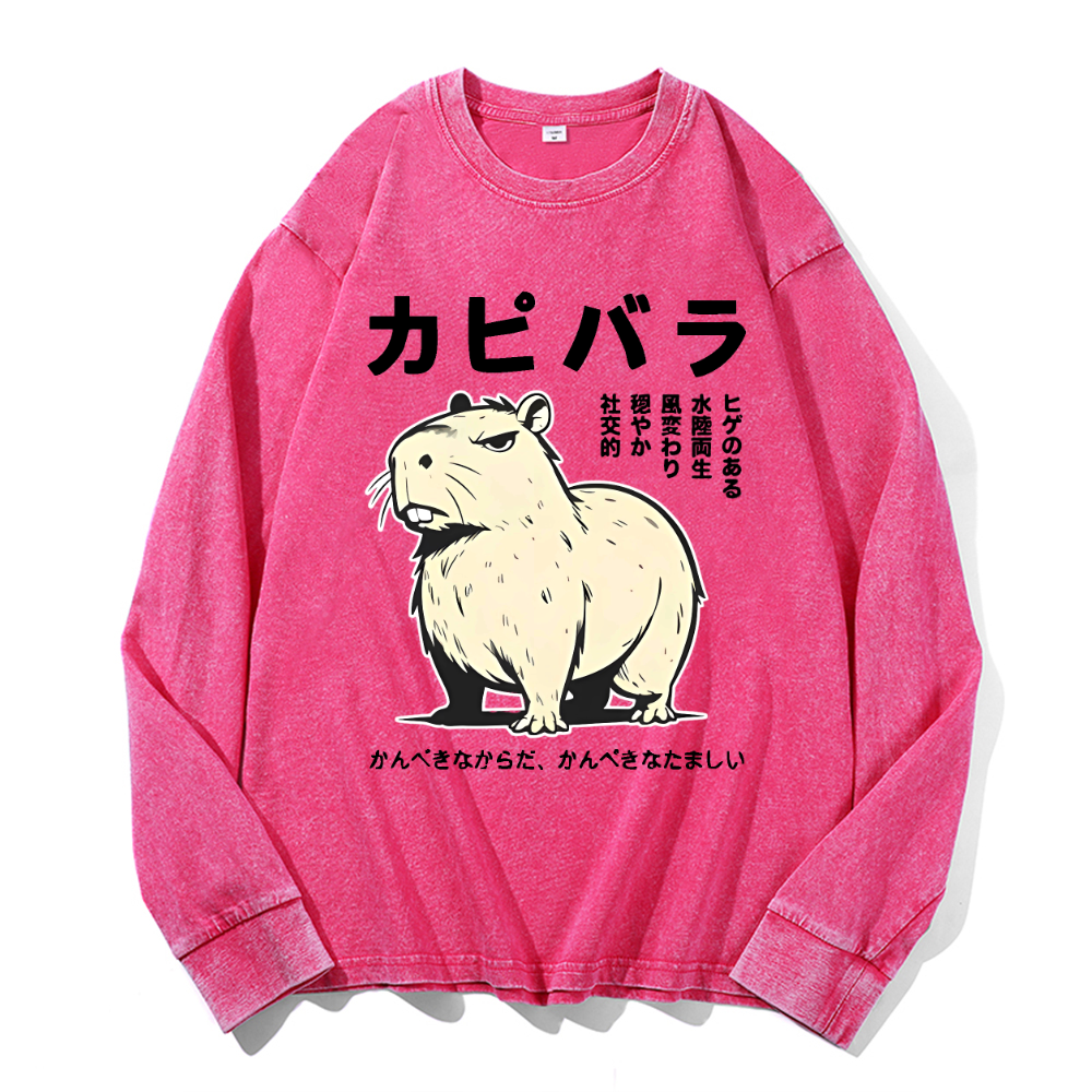 Vintage Cotton Wash Crewneck Long-Sleeve T-Shirt