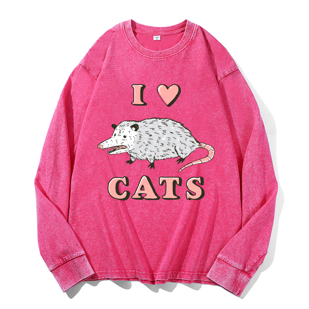 Vintage Cotton Wash Crewneck Long-Sleeve T-Shirt