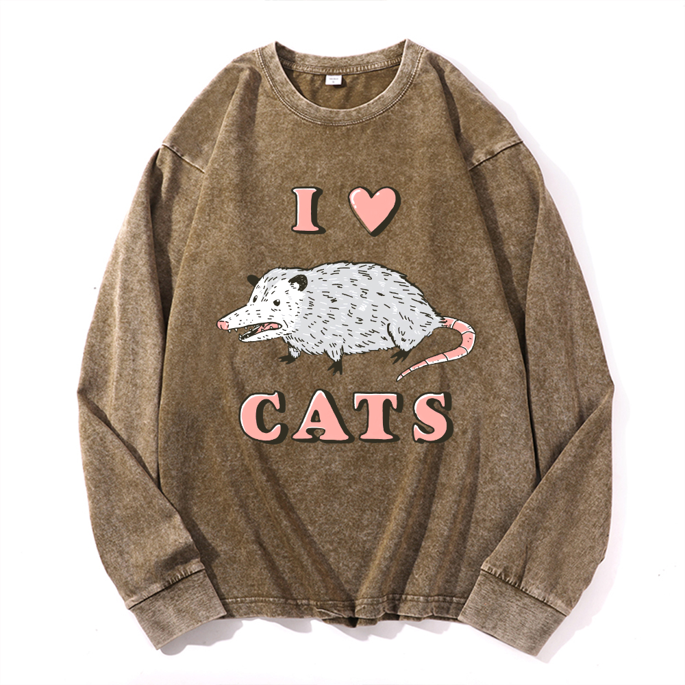 Vintage Cotton Wash Crewneck Long-Sleeve T-Shirt