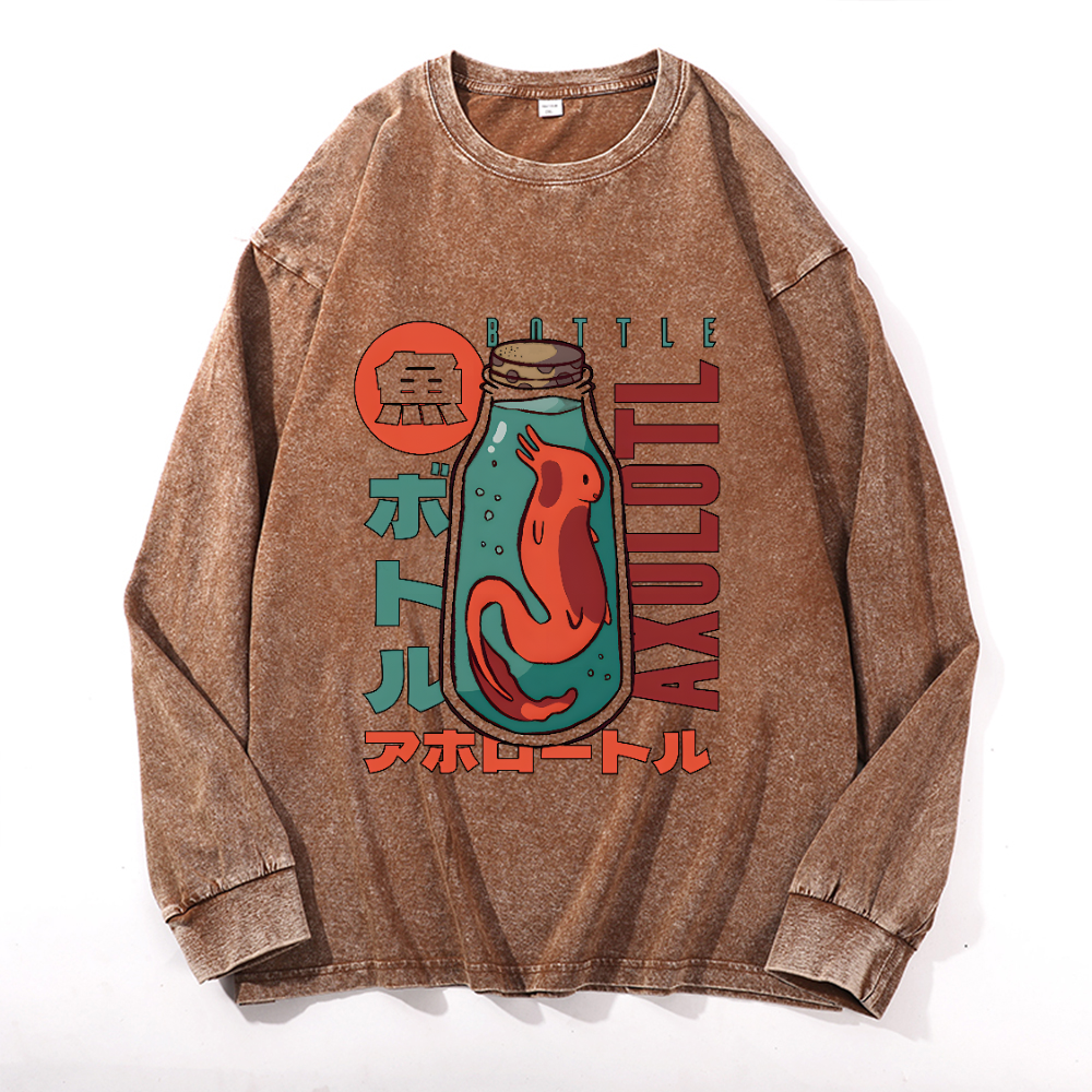 Vintage Cotton Wash Crewneck Long-Sleeve T-Shirt