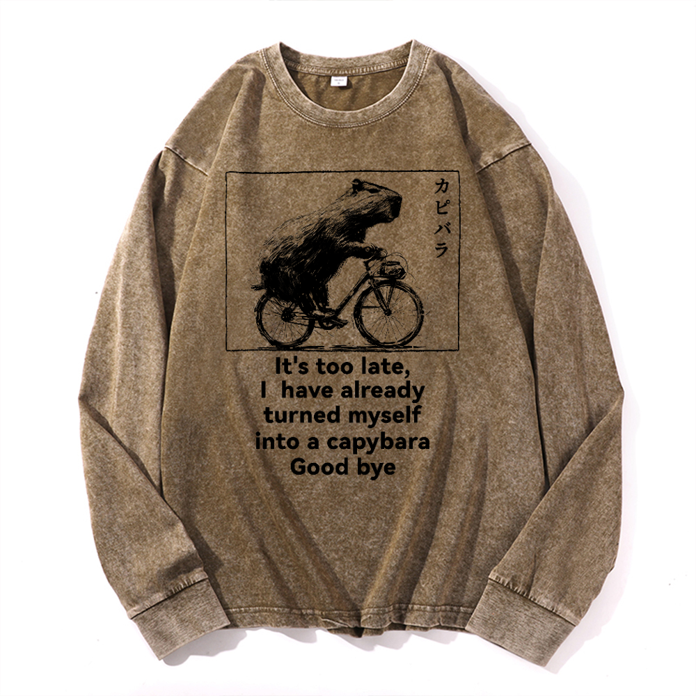 Capybara Vintage Cotton Wash Long-sleeve T-shirt