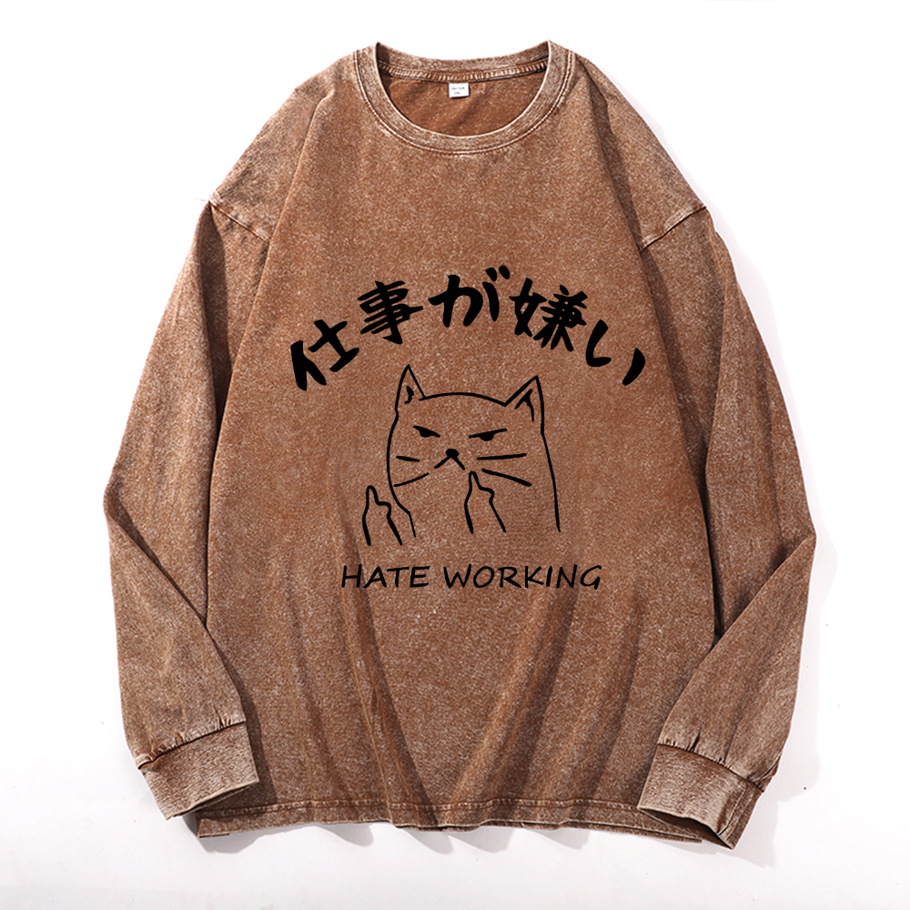 Vintage Cotton Wash Crewneck Long-Sleeve T-Shirt