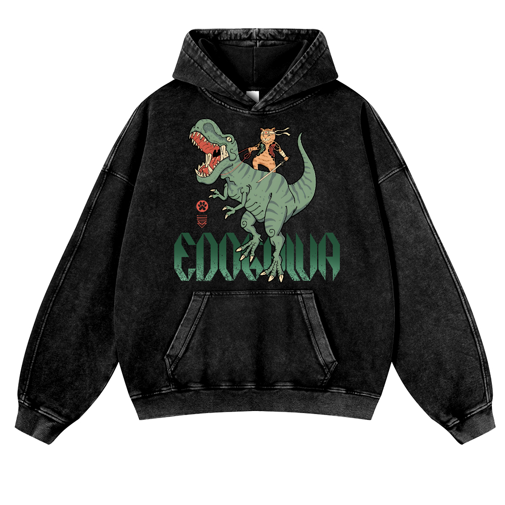Cat T-Rex Vintage Washed Thick Cotton Hoodie