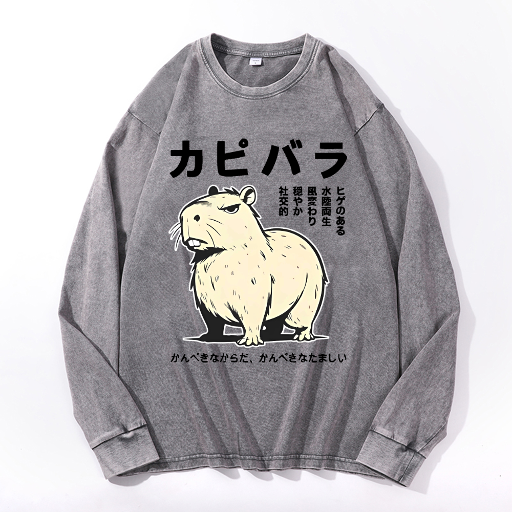 Vintage Cotton Wash Crewneck Long-Sleeve T-Shirt
