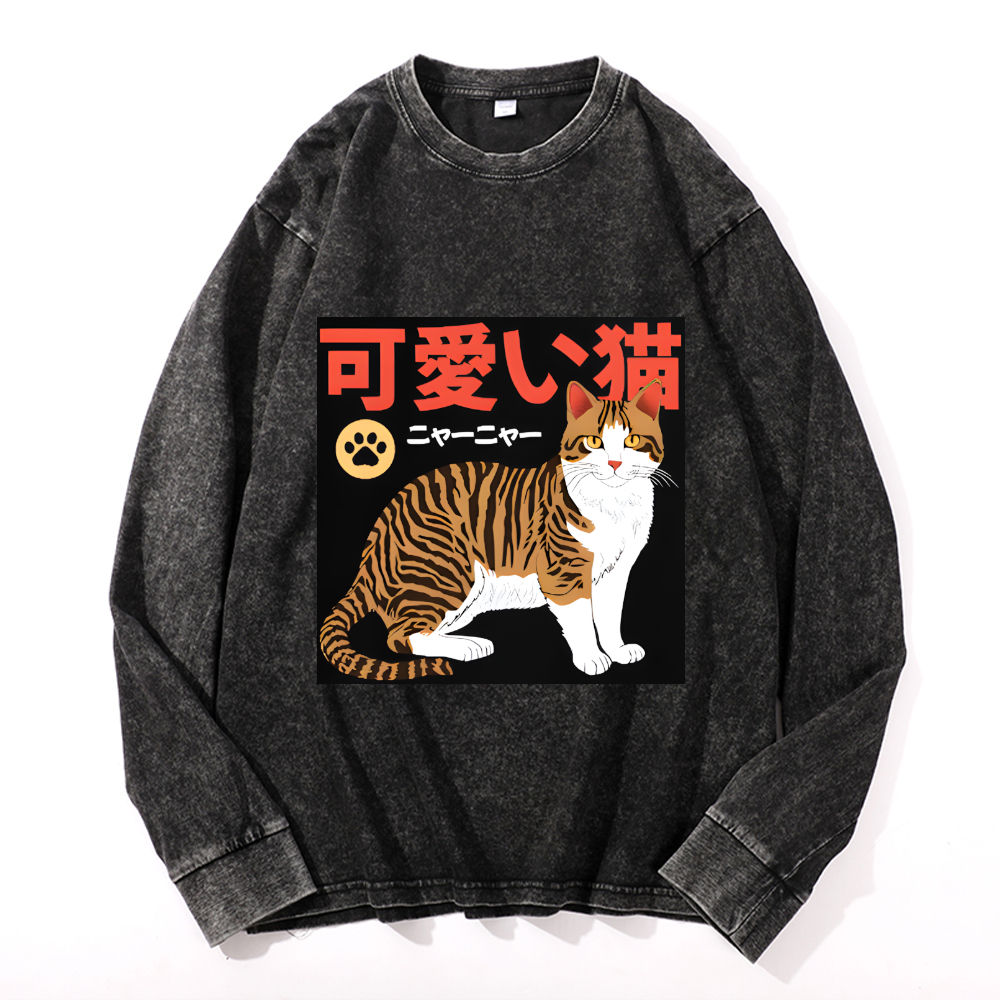 Vintage Cotton Wash Crewneck Long-Sleeve T-Shirt